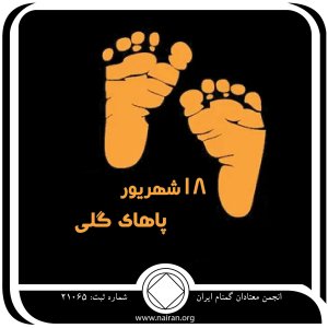 پاهای گلی (فقط برای امروز 18 شهریور)
